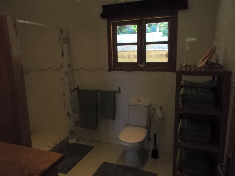 The second bathroom