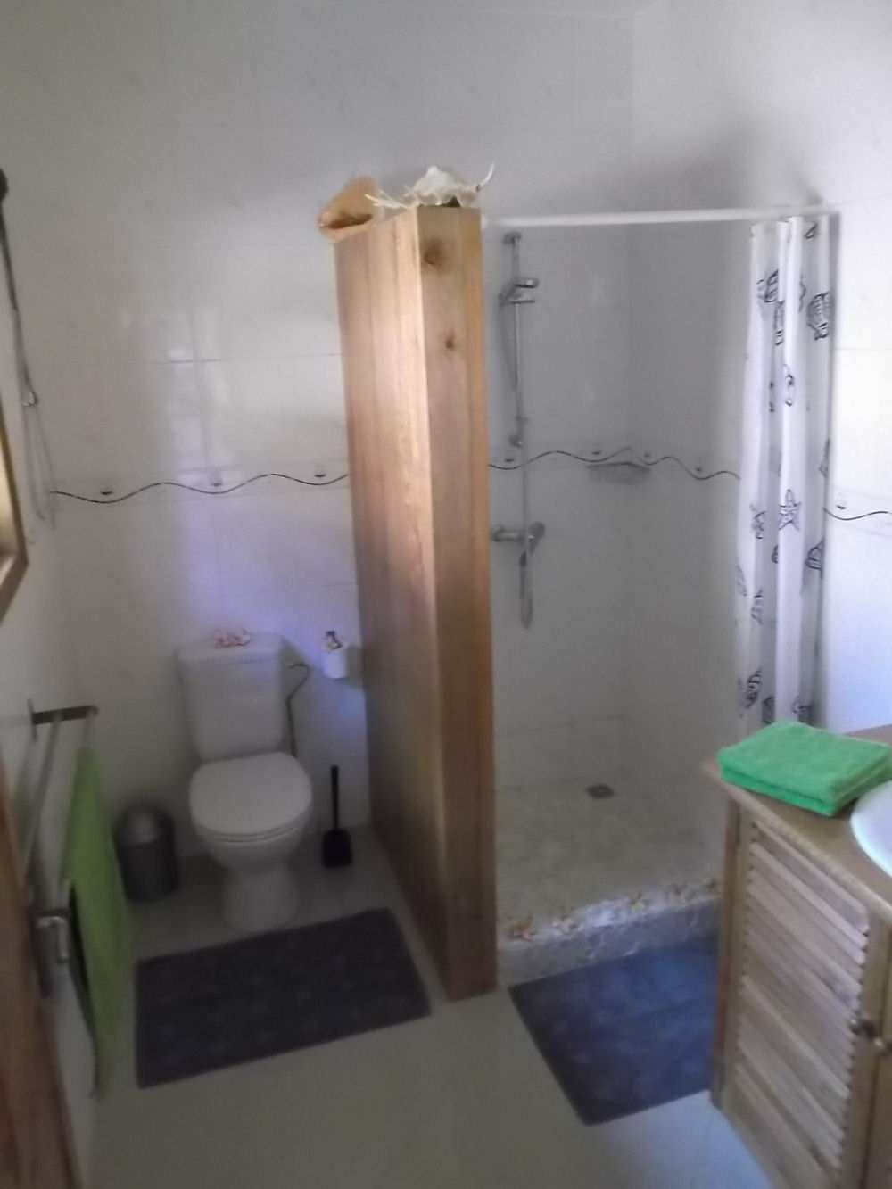 The bathroom